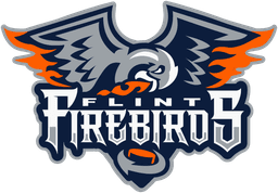 Head Athletic Trainer for the Flint Firebirds